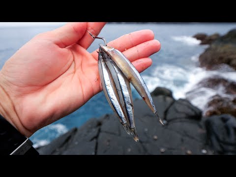 大物の実績が多数ある岩礁でキビナゴを落とすと…突然竿がぶち曲がる【#2】