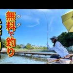 廃業した管理釣り場が無料でへらぶな釣りができる施設になった！