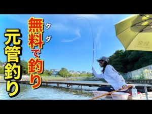 廃業した管理釣り場が無料でへらぶな釣りができる施設になった！