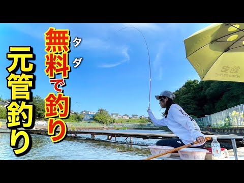 廃業した管理釣り場が無料でへらぶな釣りができる施設になった!