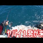 足元を狙っていたらヤバイやつが来た