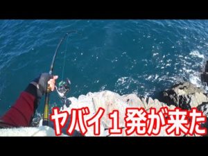 足元を狙っていたらヤバイやつが来た