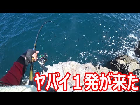 足元を狙っていたらヤバイやつが来た