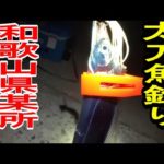 【太刀魚釣り】和歌山県某所にて太刀魚釣りにいってきました！