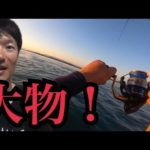 浜名湖海釣り公園で高級魚連発！晩御飯は豪勢にね😁