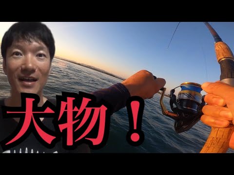 浜名湖海釣り公園で高級魚連発！晩御飯は豪勢にね😁