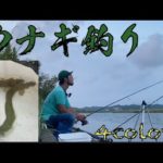 【ウナギ釣り】今回は本気のウナギダァ〜‼︎