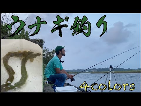 【ウナギ釣り】今回は本気のウナギダァ〜‼︎
