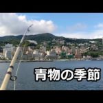 三浦と熱海でカゴ釣りしてみた。