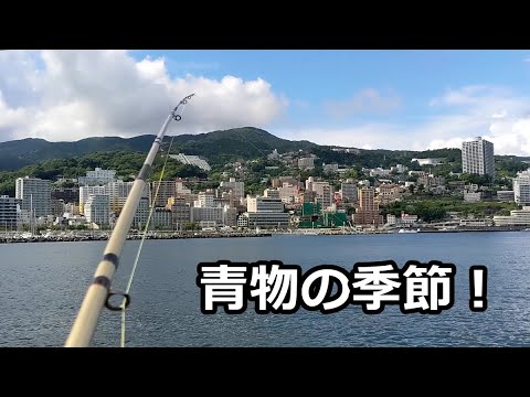 三浦と熱海でカゴ釣りしてみた。