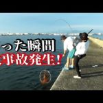 真夏の堤防で恐ろしくデカい怪物魚を引きずり上げた瞬間に事故はおきた
