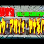 【北海道釣り】ウトロで爆釣祭りしてきた