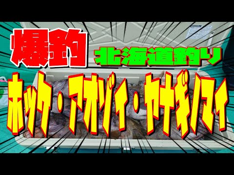 【北海道釣り】ウトロで爆釣祭りしてきた