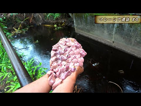 海外の真っ黒な用水路でレバーで釣りしてみると…【マレーシア遠征#4】