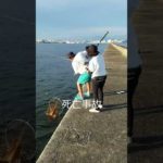 女性が堤防で釣りをしていたら厄介な事になった