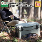 【ふるさと納税】※9/30 23:59受付終了（告示改正の為） キャンプ アウトドア 保冷 ハードクーラー 大型 おしゃれ グランピング 釣り DVERG×ICELAND クーラーボックス 45QT 1個