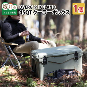 【ふるさと納税】※9/30 23:59受付終了（告示改正の為） キャンプ アウトドア 保冷 ハードクーラー 大型 おしゃれ グランピング 釣り DVERG×ICELAND クーラーボックス 45QT 1個