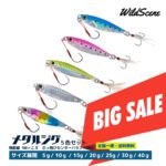 ＼スーパーセール限定特価／【送料無料】Wild Scene メタルジグ 5個 セット 5g 10g 15g 20g 24g 30g 40g青物 シーバス ロックフィッシュ ヒラメ マダイ 真鯛 タチウオジグ 釣り用品 釣り具 釣具 釣り フィッシング 父の日