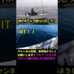 ヒラメ 泳がせ釣り ヒットシーンから取り込みまで #shorts