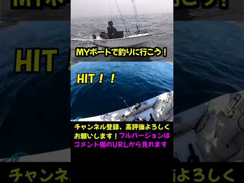 ヒラメ 泳がせ釣り ヒットシーンから取り込みまで #shorts