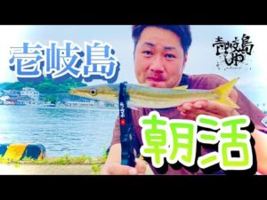 【突撃】早朝から狙う壱岐島定番の釣りやってみた！！
