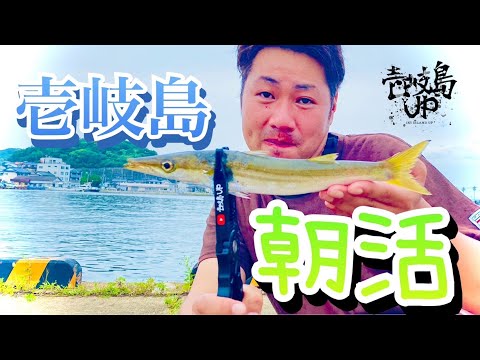 【突撃】早朝から狙う壱岐島定番の釣りやってみた!!