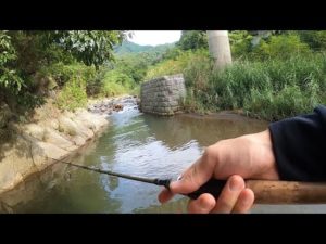 ついにあの魚がきた！日川で釣り