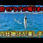 青物爆釣に尺アジも…堤防からドラグ爆鳴りのライトジグサビキが楽しすぎる。