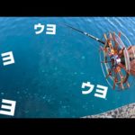 堤防から赤貝を落とすと…