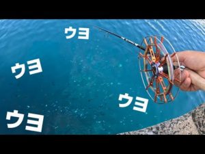 堤防から赤貝を落とすと…