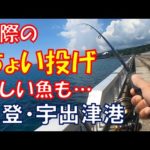 磯際のちょい投げ釣り・惜しい魚も…＠能登・宇出津港