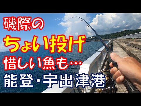 磯際のちょい投げ釣り・惜しい魚も…＠能登・宇出津港