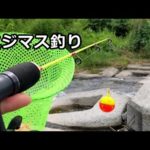 なぜ？放流直後より、ニジマスが釣れるの？