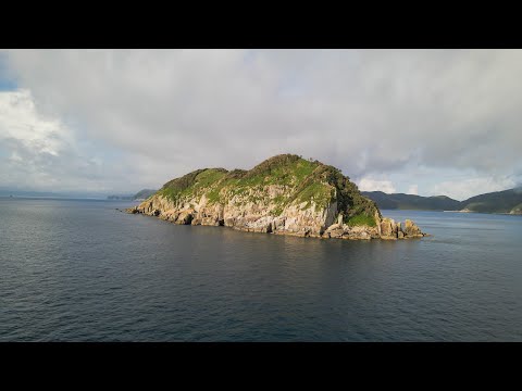 ここは大型回遊魚の楽園です。無限に青物が出る無人島が凄すぎる。