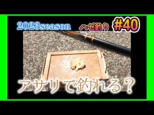 2023年【ハゼ釣り#40】8月28日‗アサリでハゼは釣れるの？1時間釣ってみた☆‗釣果情報