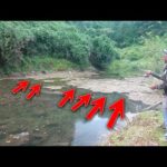 秋っぽくなった今、たくさん釣るならコレ！