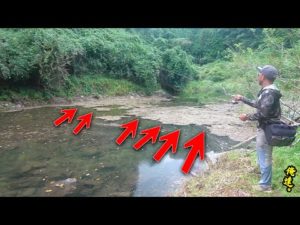 秋っぽくなった今、たくさん釣るならコレ!