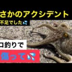2023年9月4日　タコ釣り