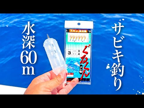 水深60mにサビキを落として新魚種を狙う