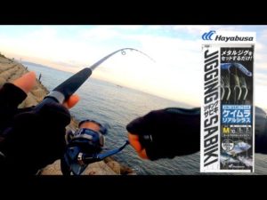 このジグサビキが色々釣れてくれました