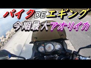 ツーリングしながらエギングがしたい！バイクも釣りも１２０％楽しみつくす方法とは