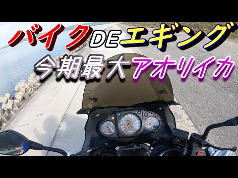 ツーリングしながらエギングがしたい!バイクも釣りも120%楽しみつくす方法とは