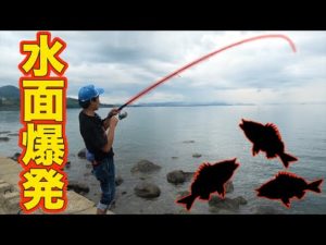 とあるルアーであの魚を釣り上げた！