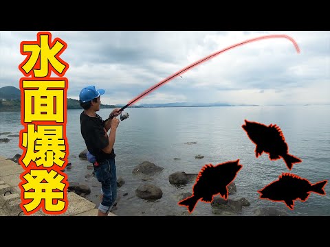 とあるルアーであの魚を釣り上げた！