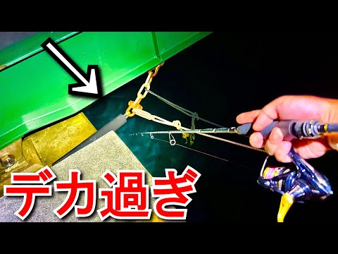 【エサ0円釣り】やはり橋の下の穴は化け物が釣れます。