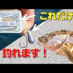 【衝撃！】「オフセットフック」と「きびなご」の組み合わせで、泳がせ釣りをしてみました！この釣り方で高級魚キジハタをゲットできます。。【釣り方解説】