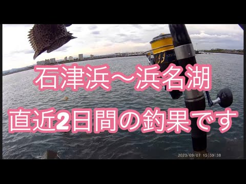 【浜名湖～石津浜】直近の釣果 サーフ 浜名湖 海釣り公園 カゴ釣り ブッコミ釣り#浜名湖 #焼津 #釣り #釣果 #サーフィン #海釣り公園 #カゴ釣り #ぶっこみ釣り