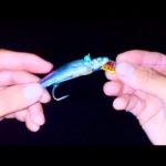 この釣りがおもしろい。