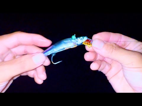 この釣りがおもしろい。