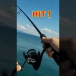 【100均釣り具】ダイソー胴突き仕掛け　エサ釣り　＃100均釣り具